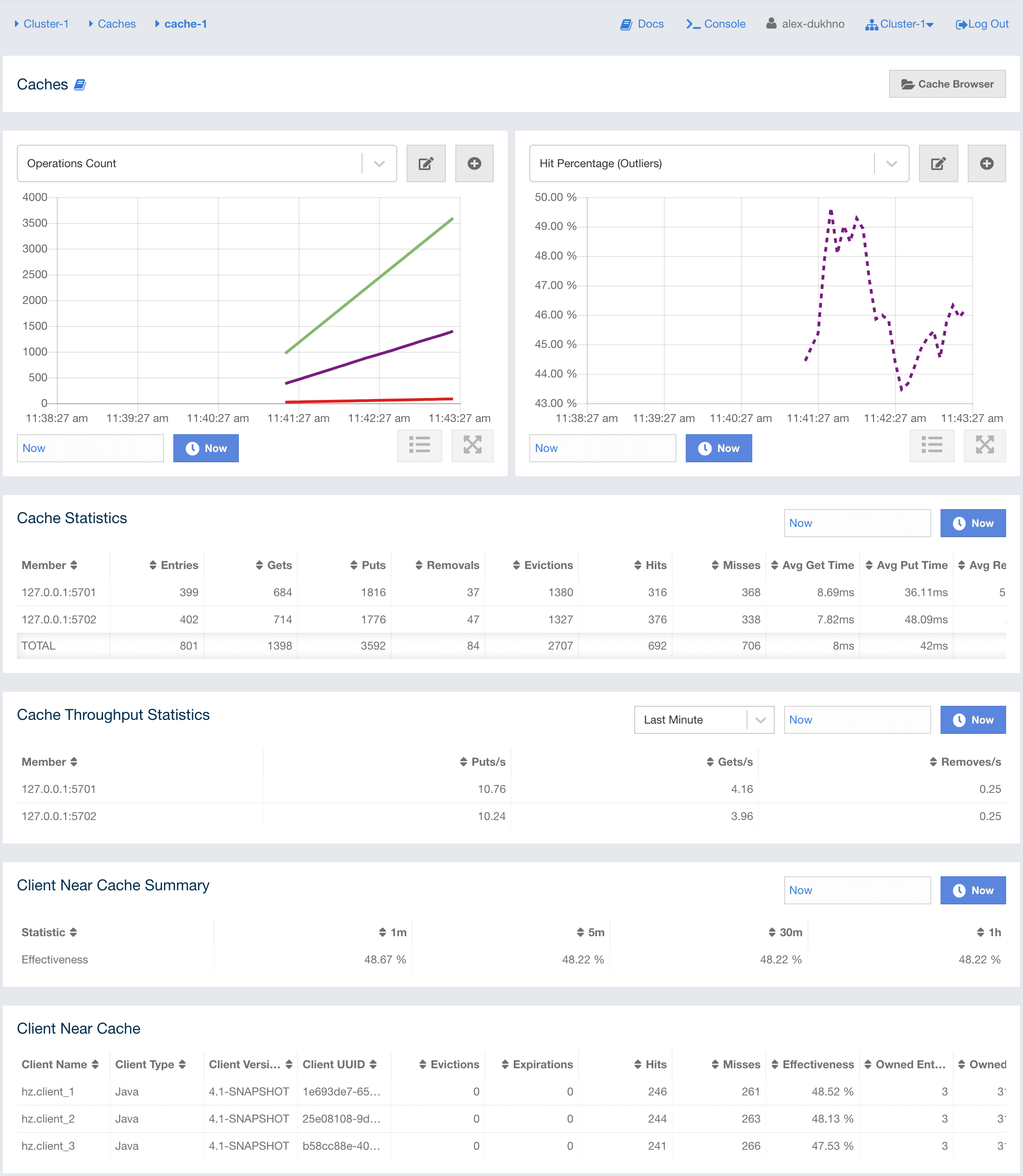 Monitoring Caches