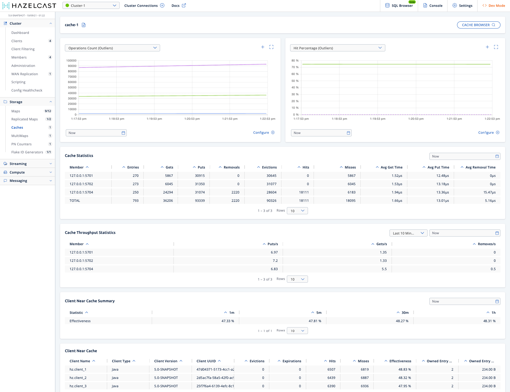 Monitoring Caches